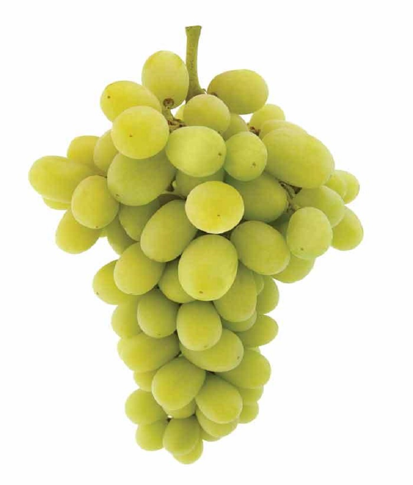  Green Grapes  (Angoor)