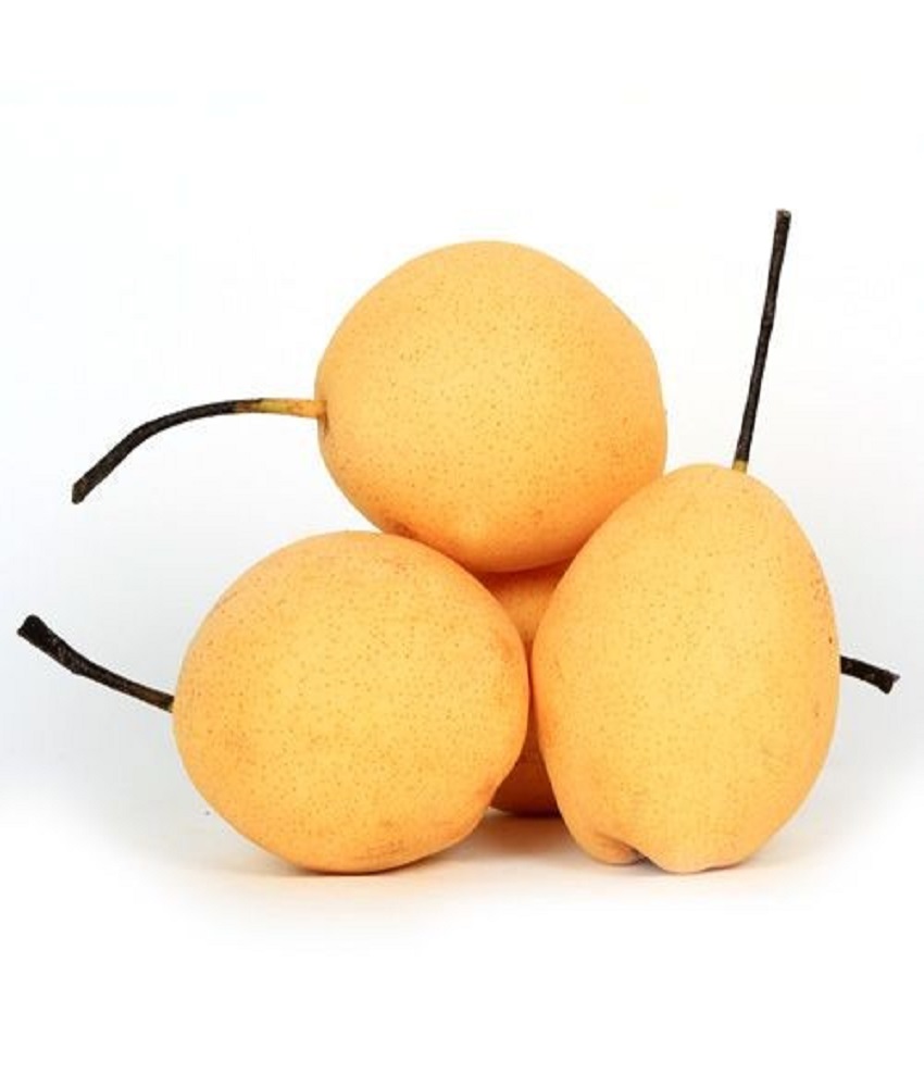 Shandong Pear (Naspati)